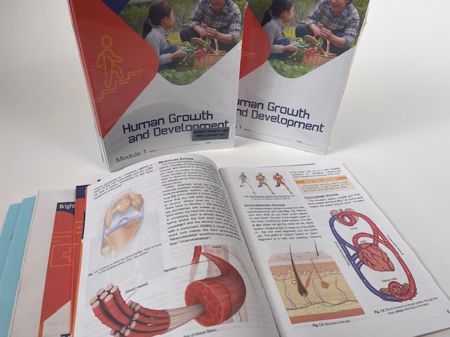 Human Growth & Development