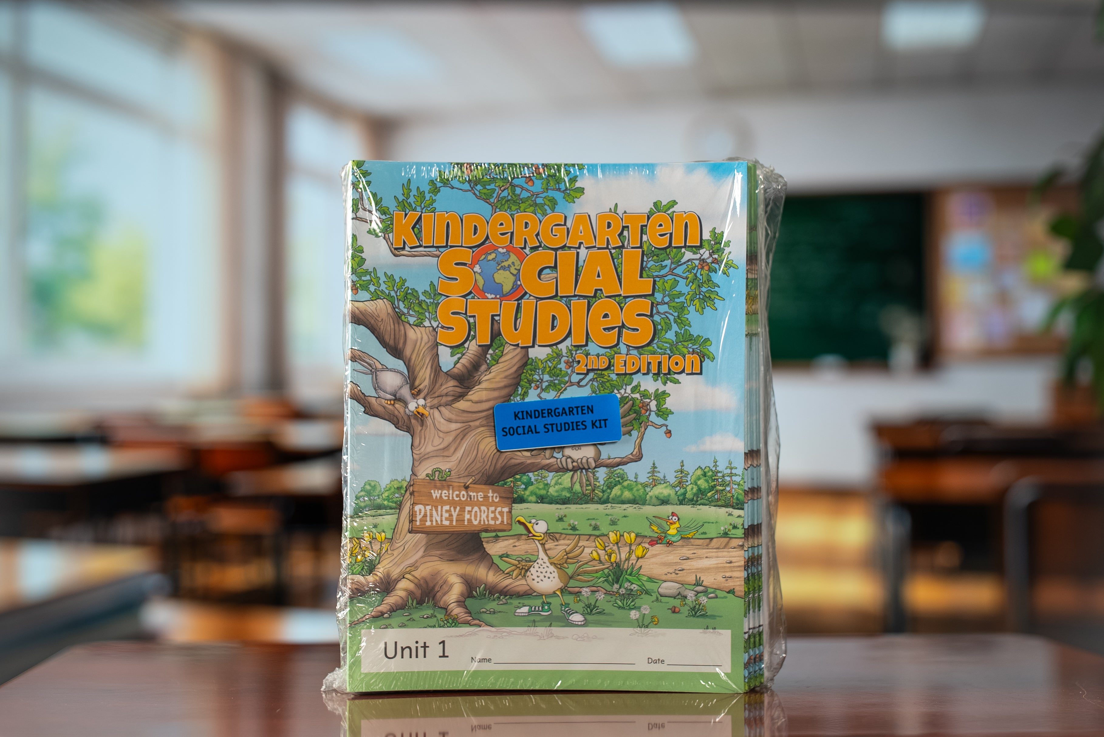 Kindergarten Social Studies (Kit - 13 pieces)
